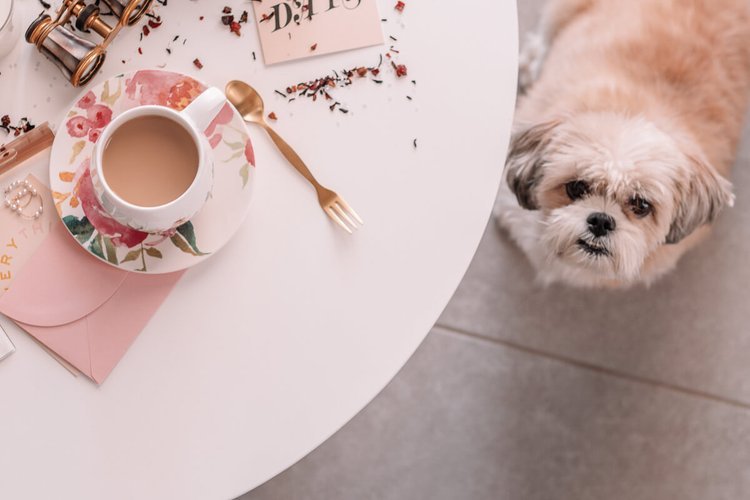 Flat Lay Photography: The Easy Guide - Happy & Spice