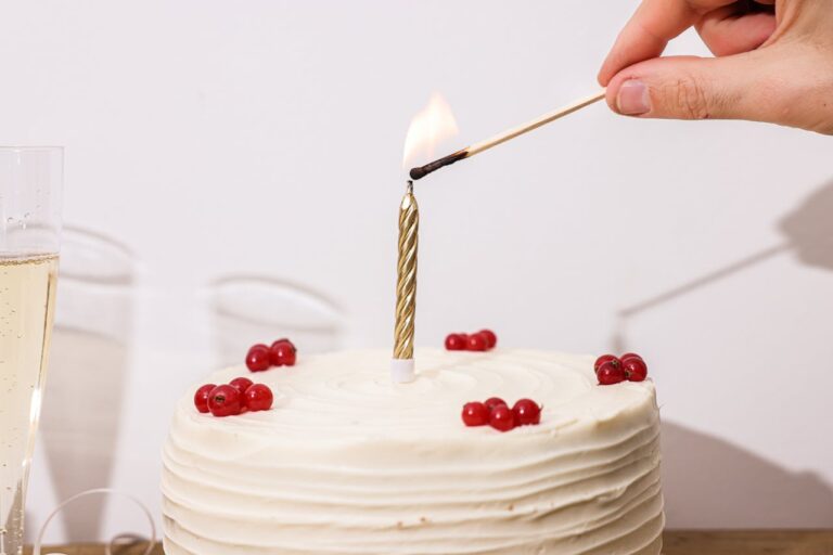 12 Vegan Birthday Cakes Recipes